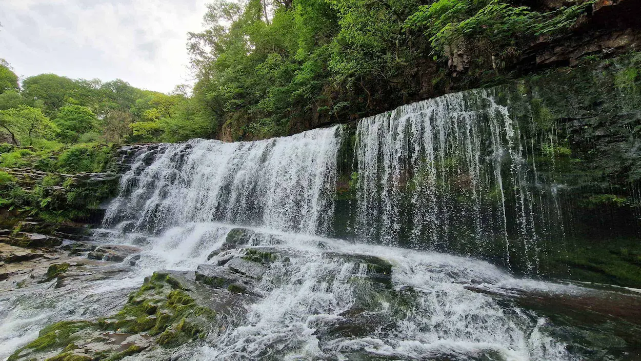 A serene waterfall cascading through a lush green forest, surrounded by trees and natural beauty.